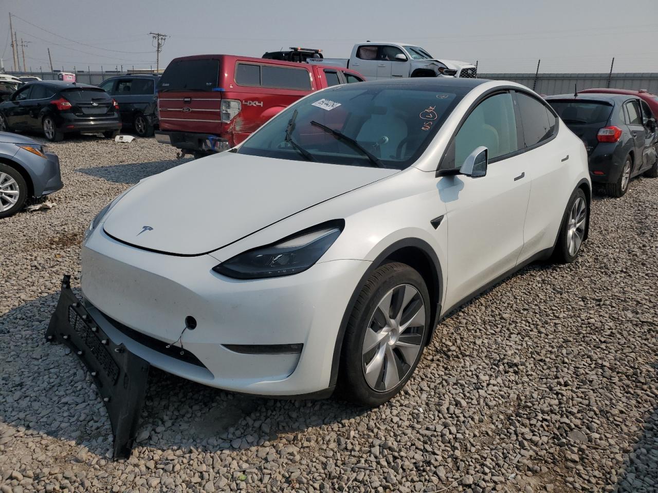 2023 Tesla Model Y VIN: 7SAYGDEE7PF682836 Lot: 69244354