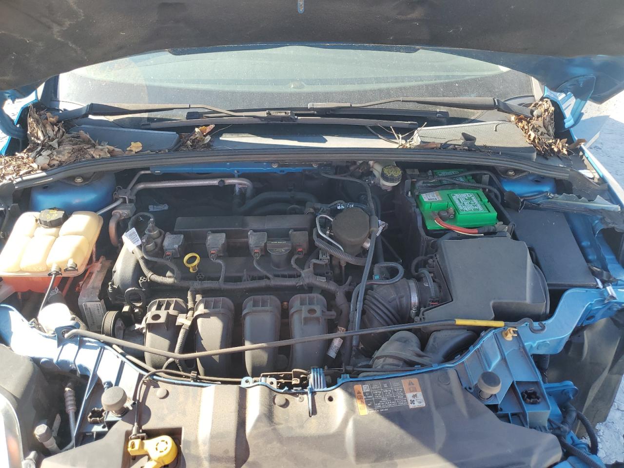 1FADP3F23EL368224 2014 Ford Focus Se