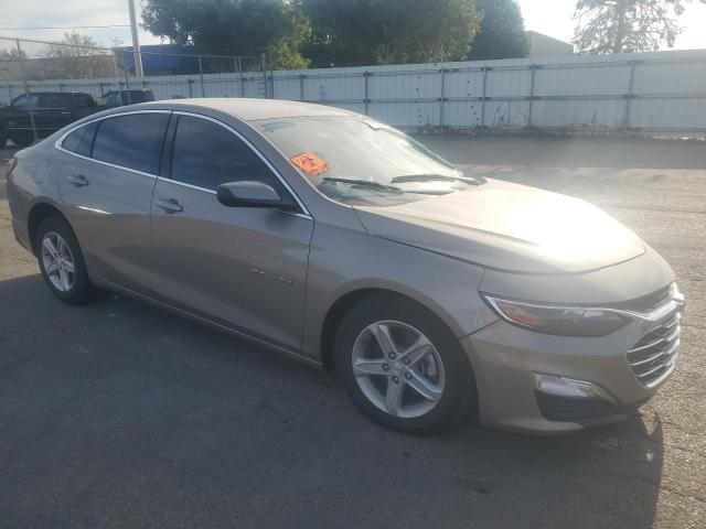  CHEVROLET MALIBU 2024 Beige