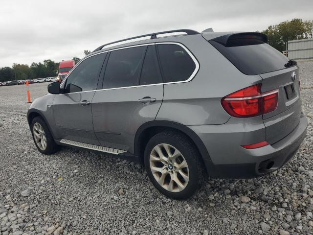  BMW X5 2013 Gray