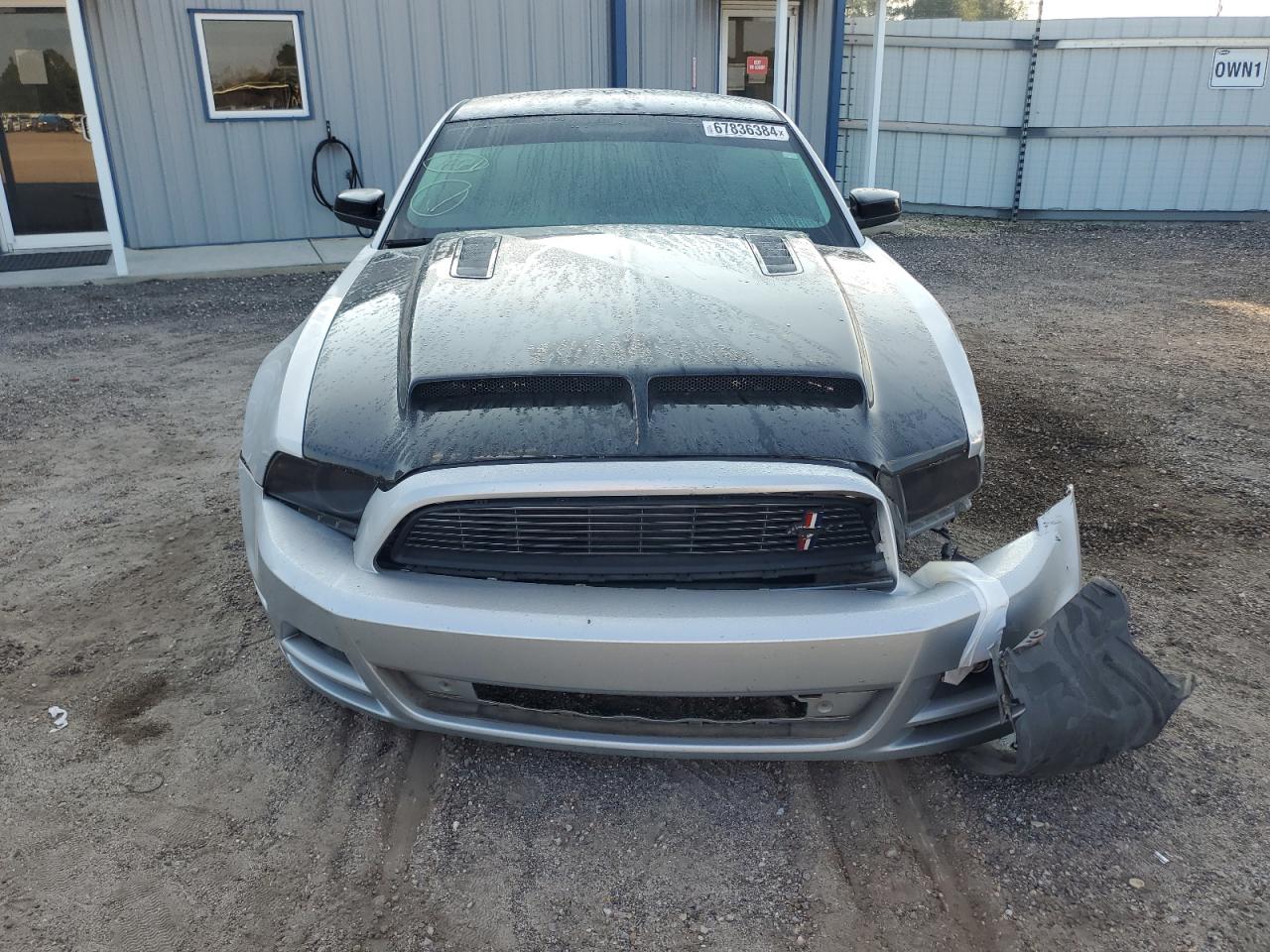 2013 Ford Mustang - Image 5