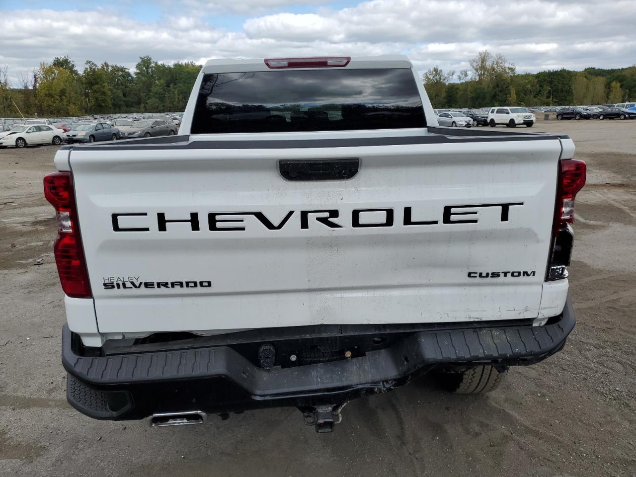 2024 Chevrolet Silverado K1500 Trail Boss Custom VIN: 3GCUDCED1RG304580 Lot: 72148384