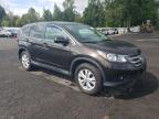 2014 Honda Cr-V Ex на продаже в Portland, OR - Rear End