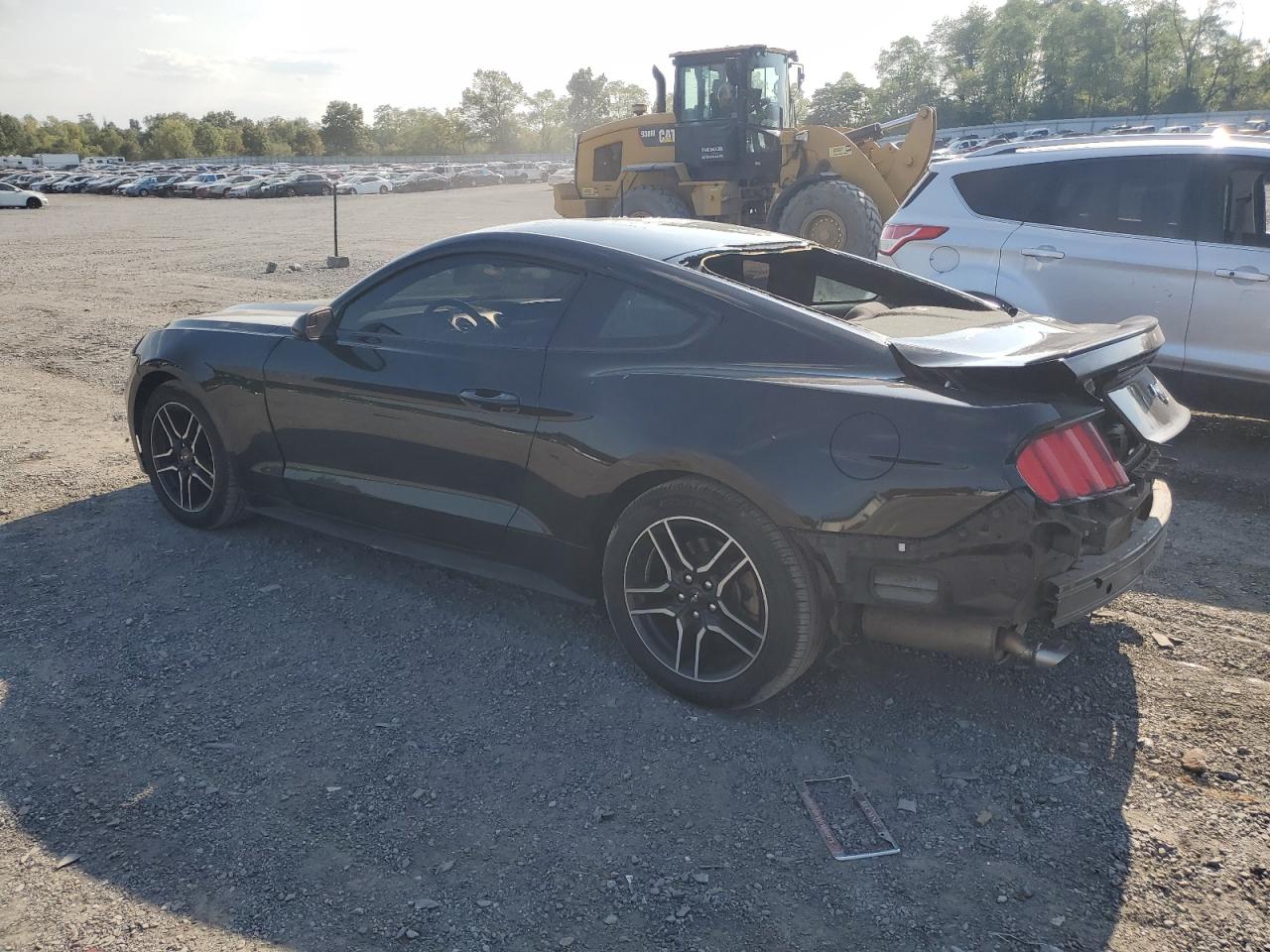 1FA6P8TH2GS228138 2016 FORD MUSTANG - Image 2