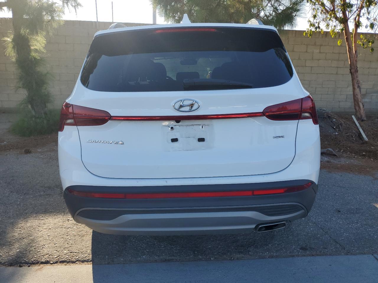 2023 Hyundai Santa Fe Sel VIN: 5NMS2DAJ1PH602305 Lot: 73254444