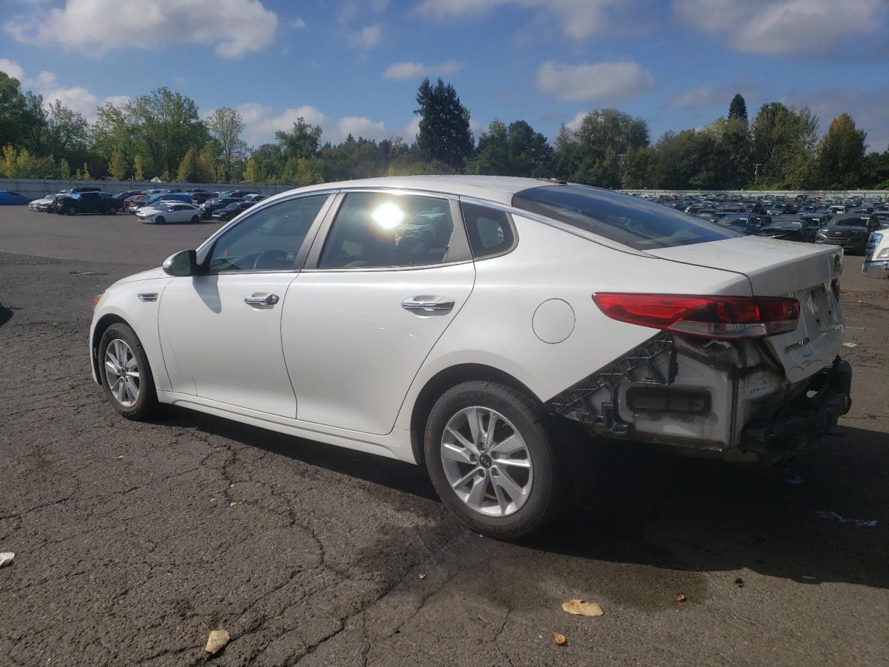 VIN KNAGT4L32G5103482 2016 KIA OPTIMA no.2