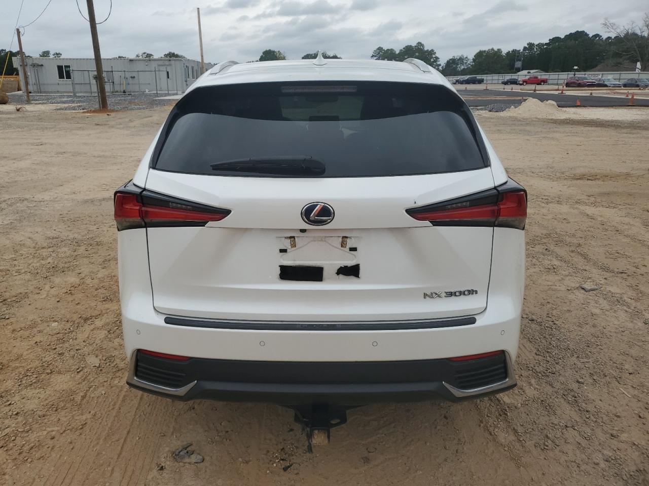 JTJBJRBZ1K2119668 2019 Lexus Nx 300H