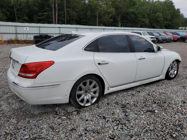 Sedans HYUNDAI EQUUS 2012 White