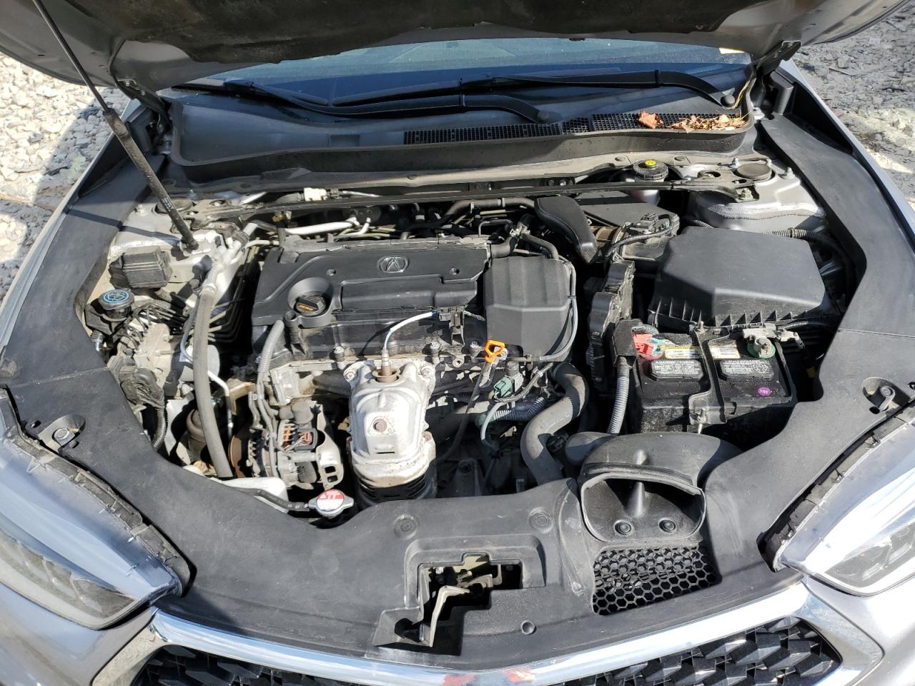 19UUB1F37KA002409 2019 Acura Tlx