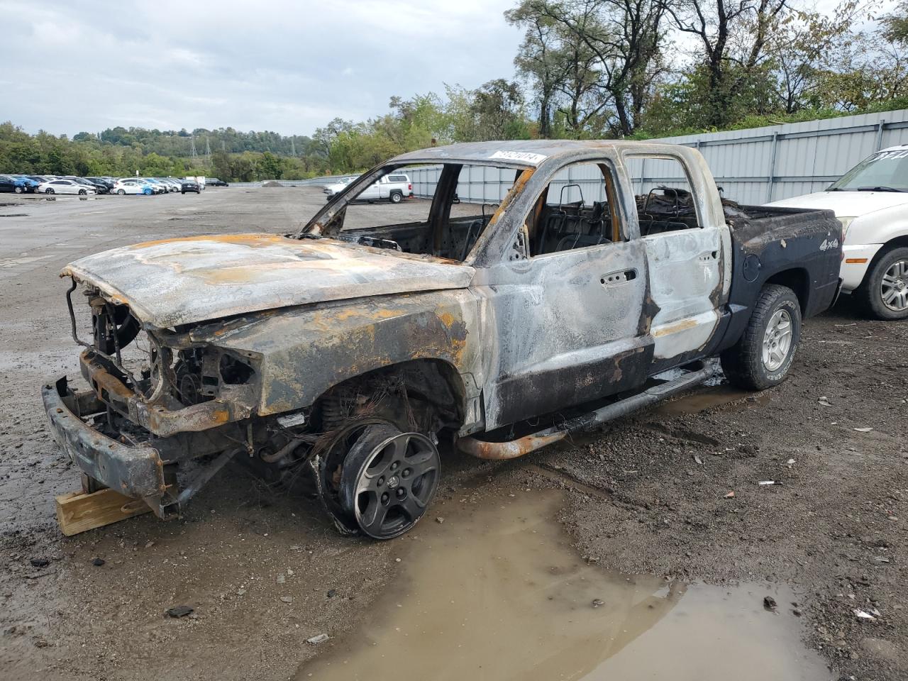 2006 Dodge Dakota Quad Slt VIN: 1D7HW48N36S539885 Lot: 73121014