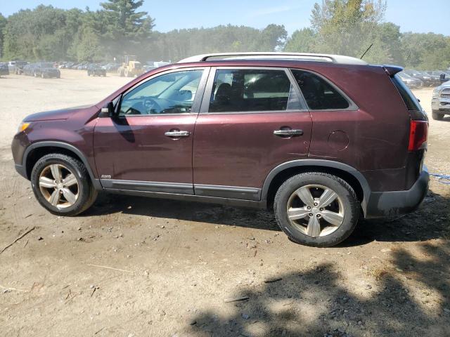 Parquets KIA SORENTO 2013 Burgundy