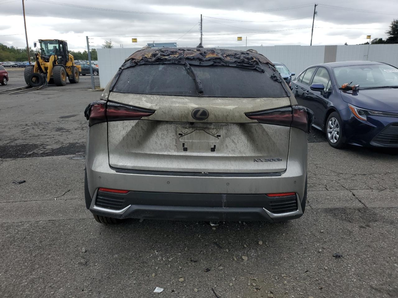 2020 Lexus Nx 300H Luxury VIN: JTJHJRDZ8L2132118 Lot: 70226054