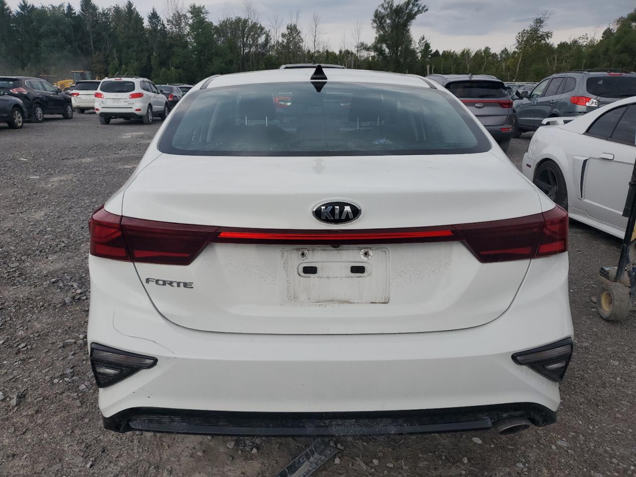 2020 Kia Forte Fe VIN: 3KPF24ADXLE184629 Lot: 70513814