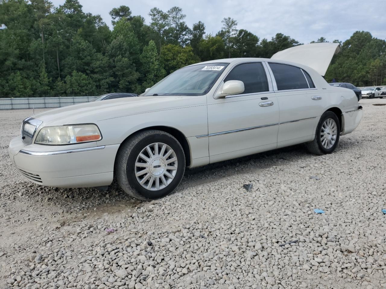 2004 Lincoln Town Car Executive VIN: 1LNHM81W04Y672393 Lot: 70393414