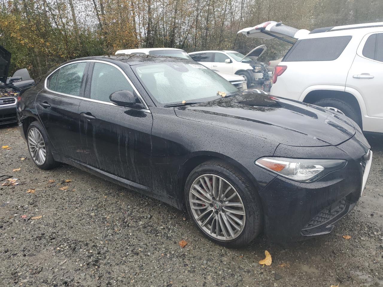 VIN ZARFAEEN9J7569999 2018 ALFA ROMEO GIULIA no.4