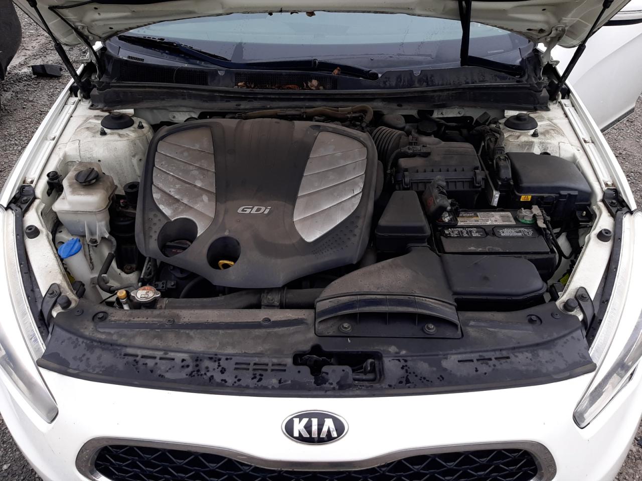 KNALN4D78F5179698 2015 Kia Cadenza Premium