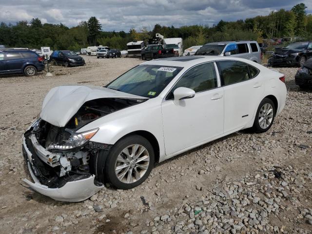 2013 Lexus Es 300H