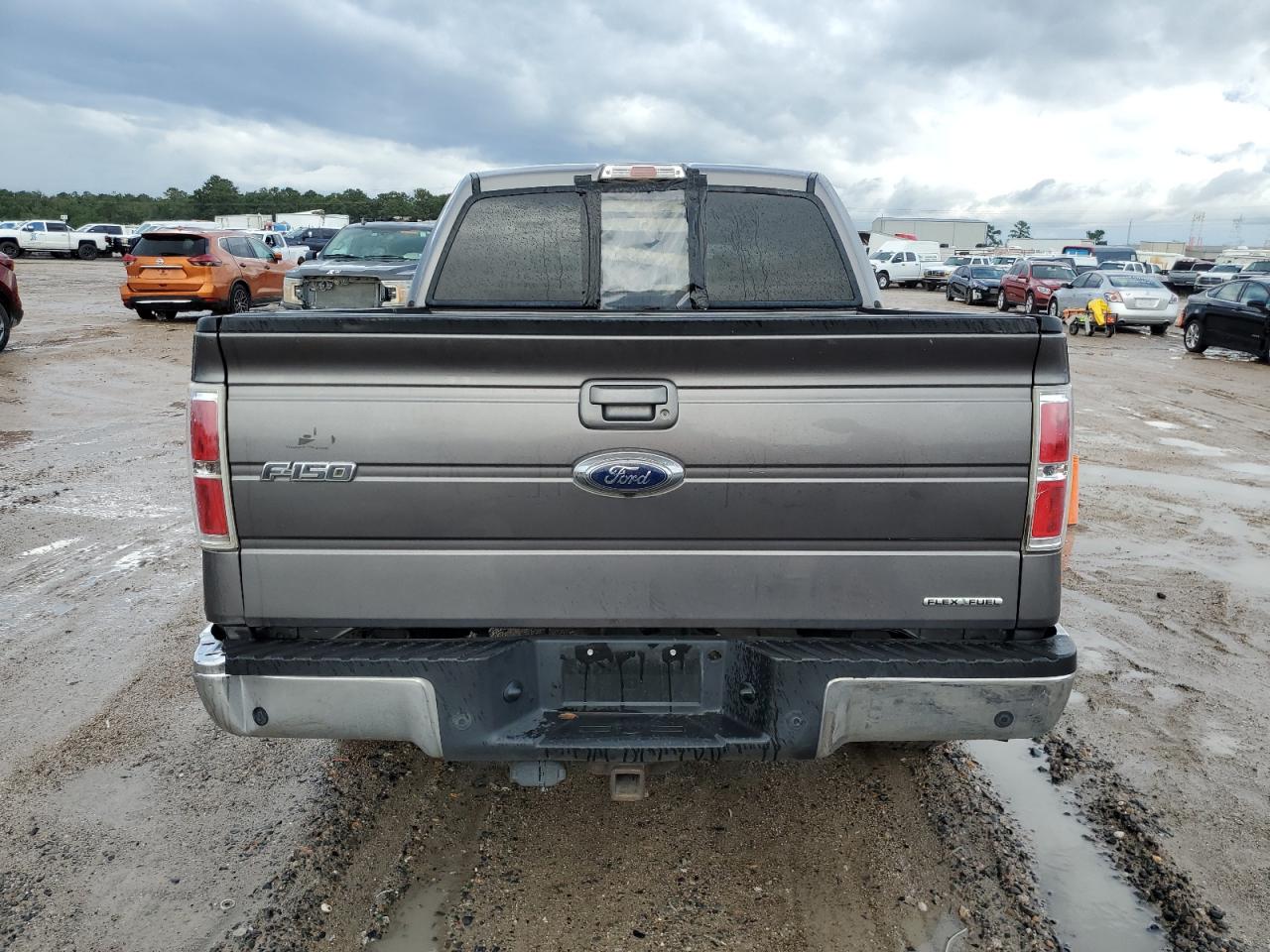 1FTFW1CFXDFA91179 2013 Ford F150 Supercrew