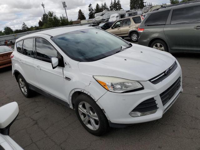  FORD ESCAPE 2013 White