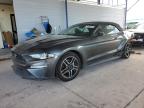 2018 Ford Mustang  იყიდება Phoenix-ში, AZ - Rear End