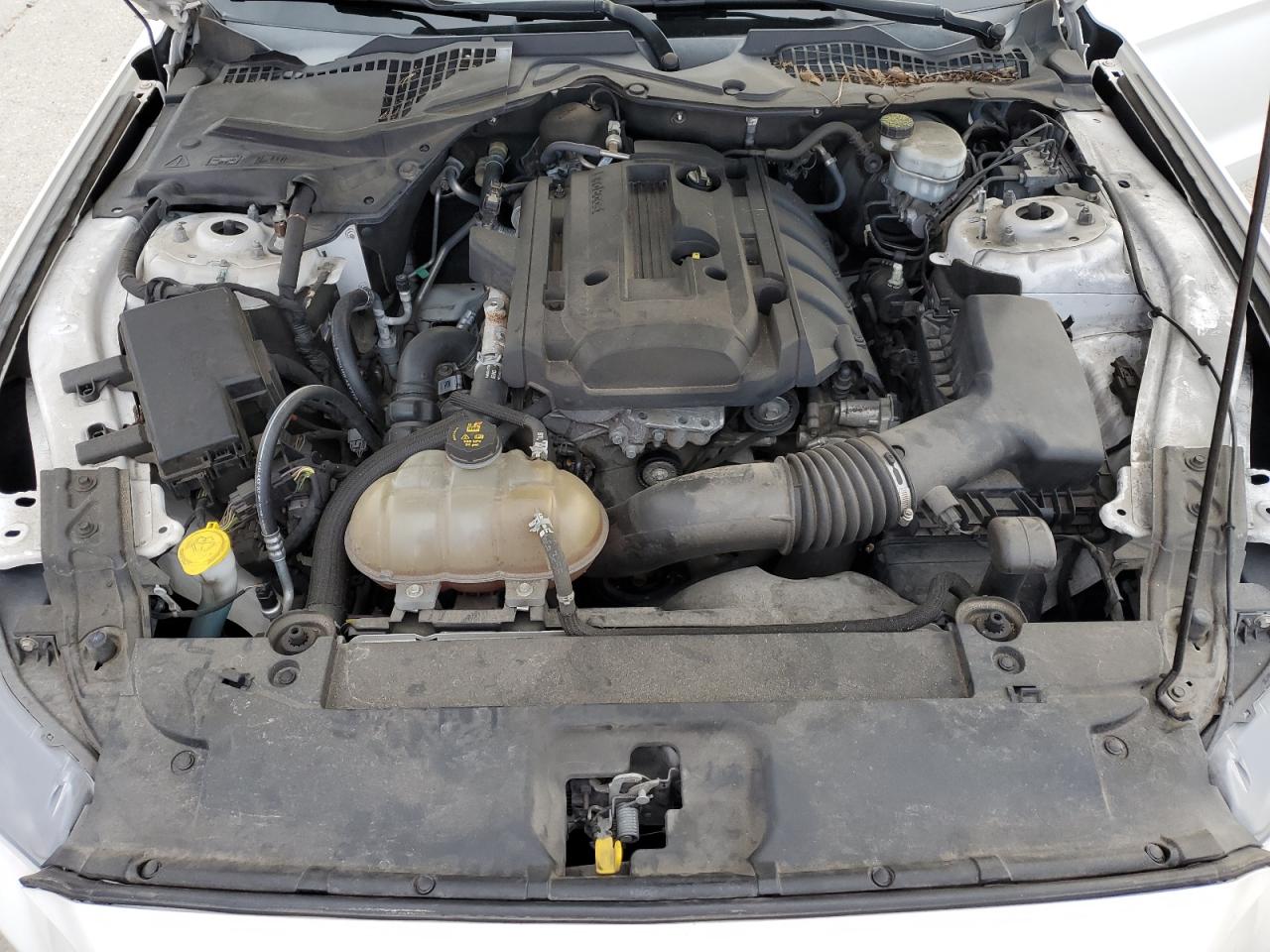 2017 Ford Mustang VIN: 1FA6P8TH9H5263002 Lot: 71853014