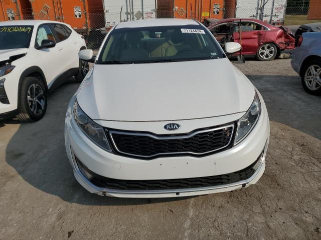 Седаны KIA OPTIMA 2013 Белы