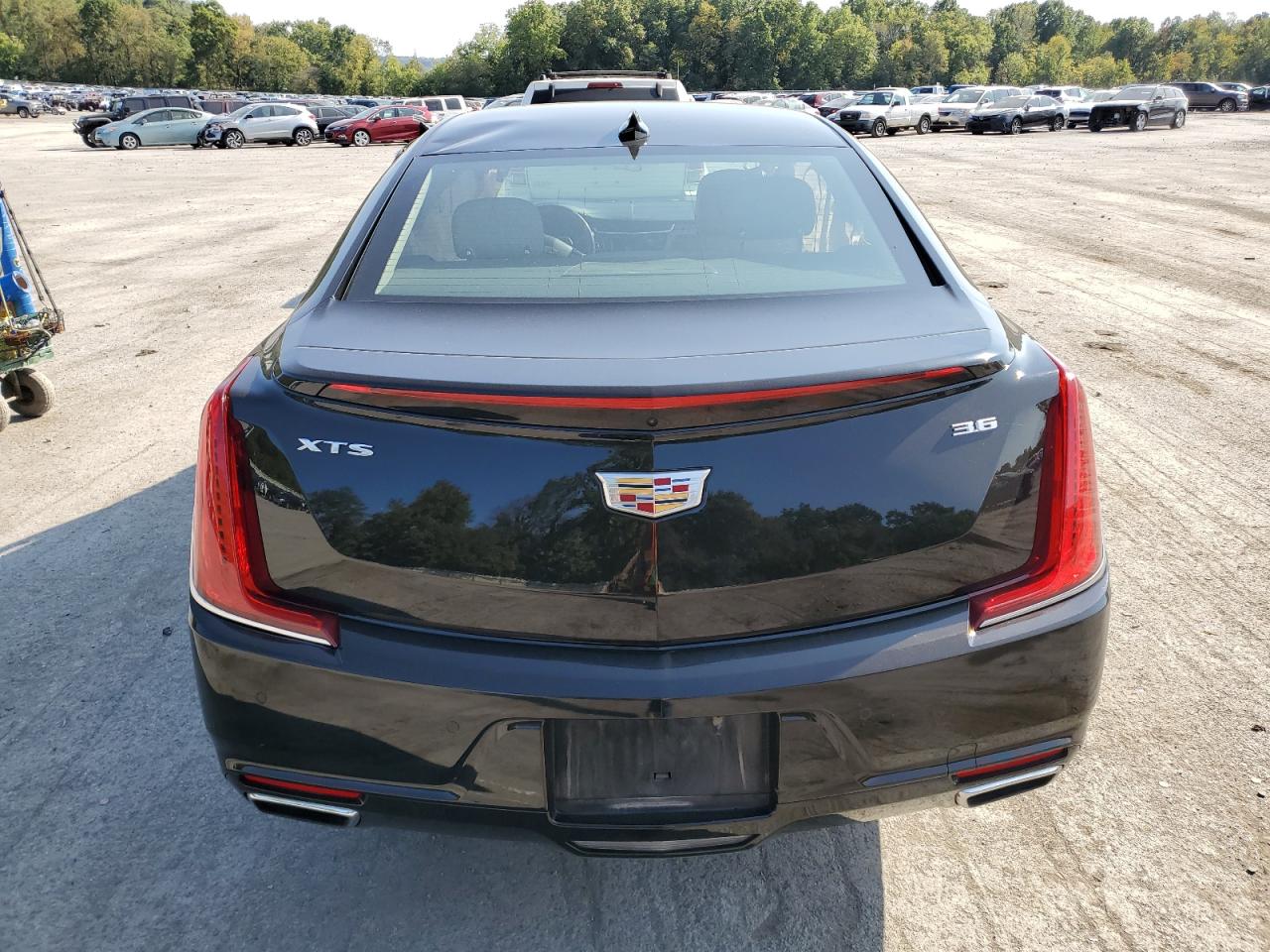 2019 Cadillac Xts Luxury VIN: 2G61M5S36K9136061 Lot: 71134054