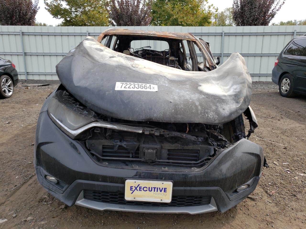 2019 Honda CR-V - Image 5