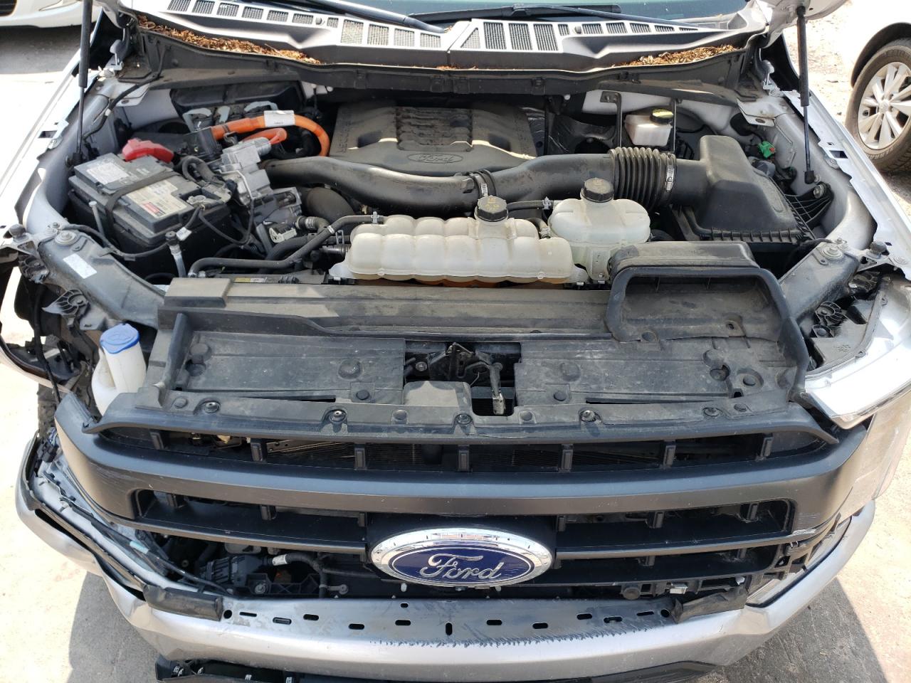 2021 Ford F150 Supercrew VIN: 1FTFW1ED7MFA59981 Lot: 69865904