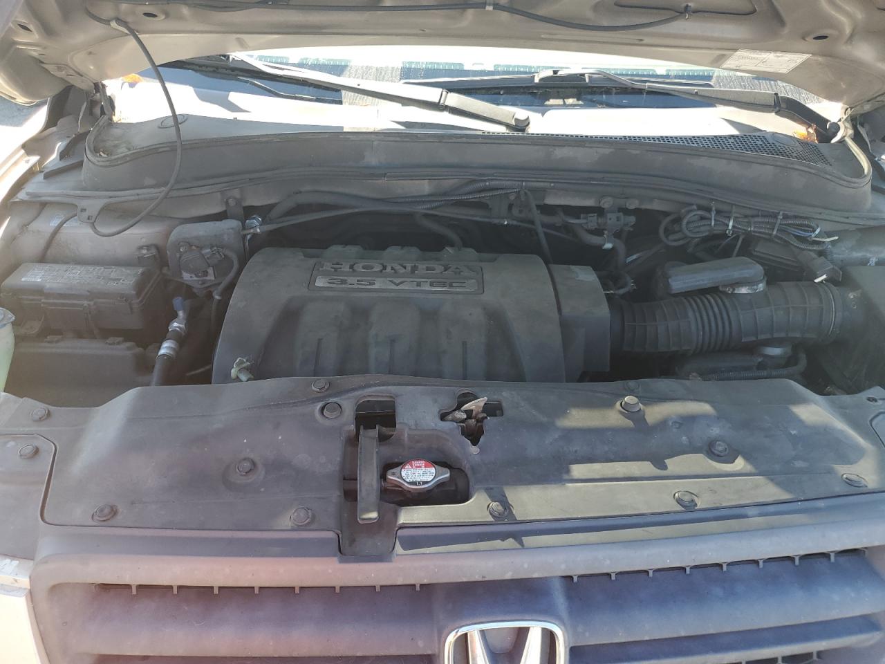 2005 Honda Pilot Exl VIN: 5FNYF18695B035984 Lot: 71307864