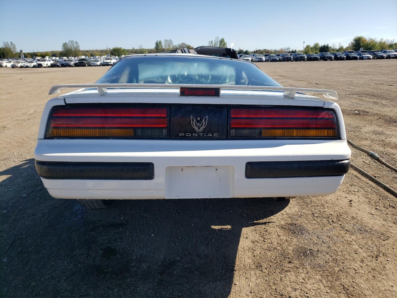 1988 Pontiac Firebird VIN: 1G2FS21S4JL245615 Lot: 73486314