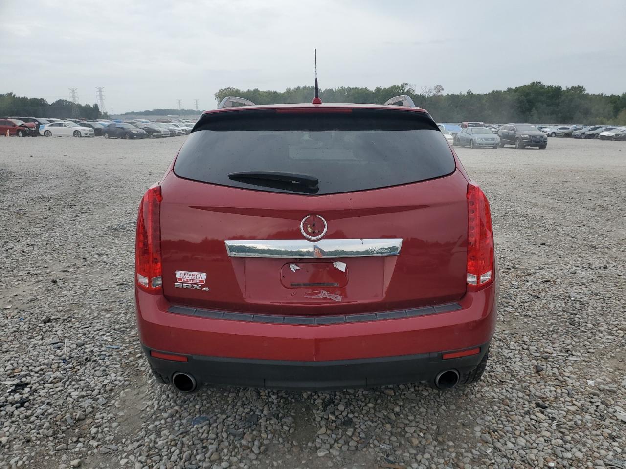 2010 Cadillac Srx Luxury Collection VIN: 3GYFNDEY6AS604870 Lot: 69311464