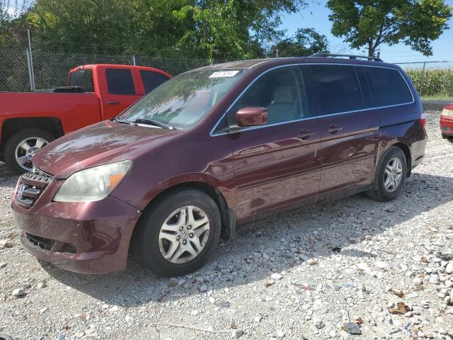 2007 Honda Odyssey Exl