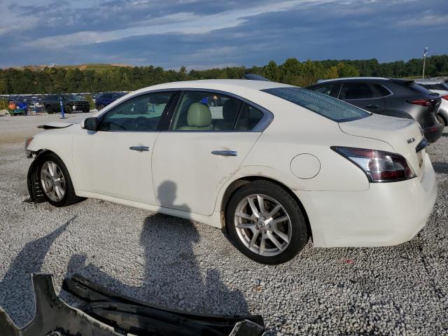  NISSAN MAXIMA 2014 Белы