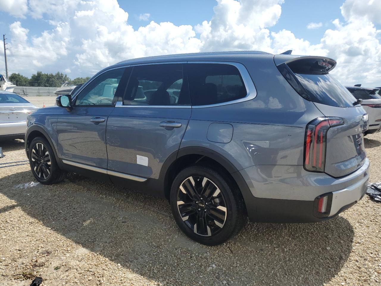 2024 Kia Telluride Sx VIN: 5XYP5DGC2RG423225 Lot: 73807354