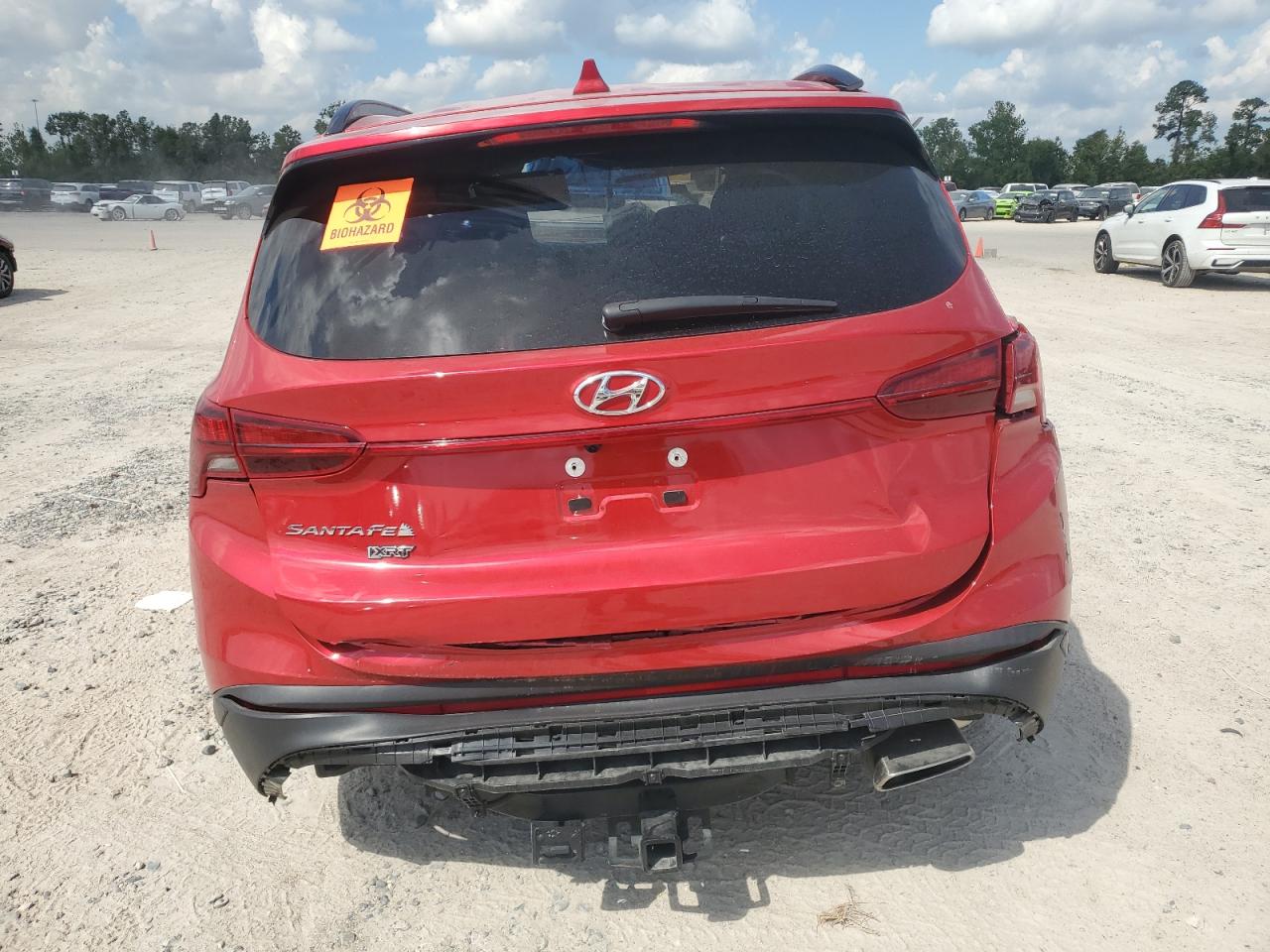 2023 Hyundai Santa Fe Xrt VIN: 5NMS64AJ9PH487750 Lot: 72441954