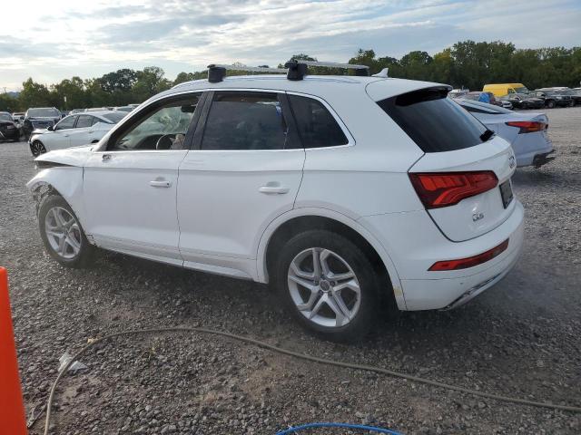  AUDI Q5 2019 Белы