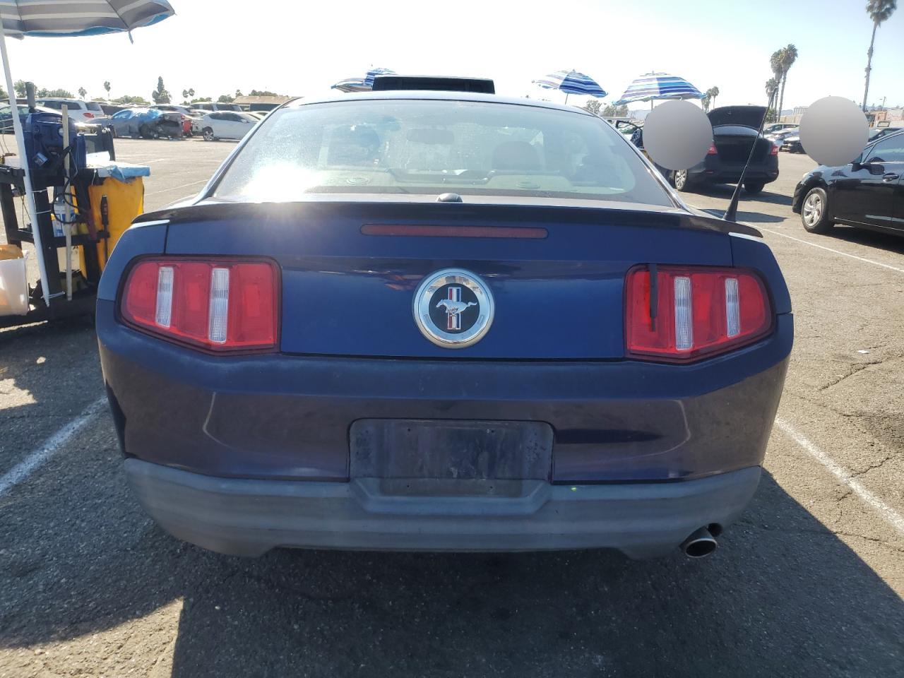 2010 Ford Mustang VIN: 1ZVBP8AN8A5181685 Lot: 70339824