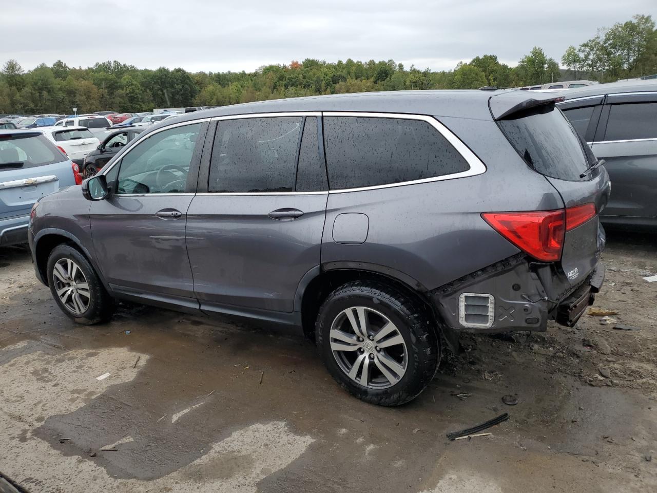 5FNYF6H31GB029893 2016 HONDA PILOT - Image 2