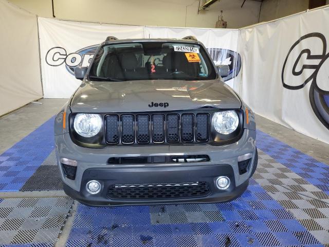  JEEP RENEGADE 2019 Gray