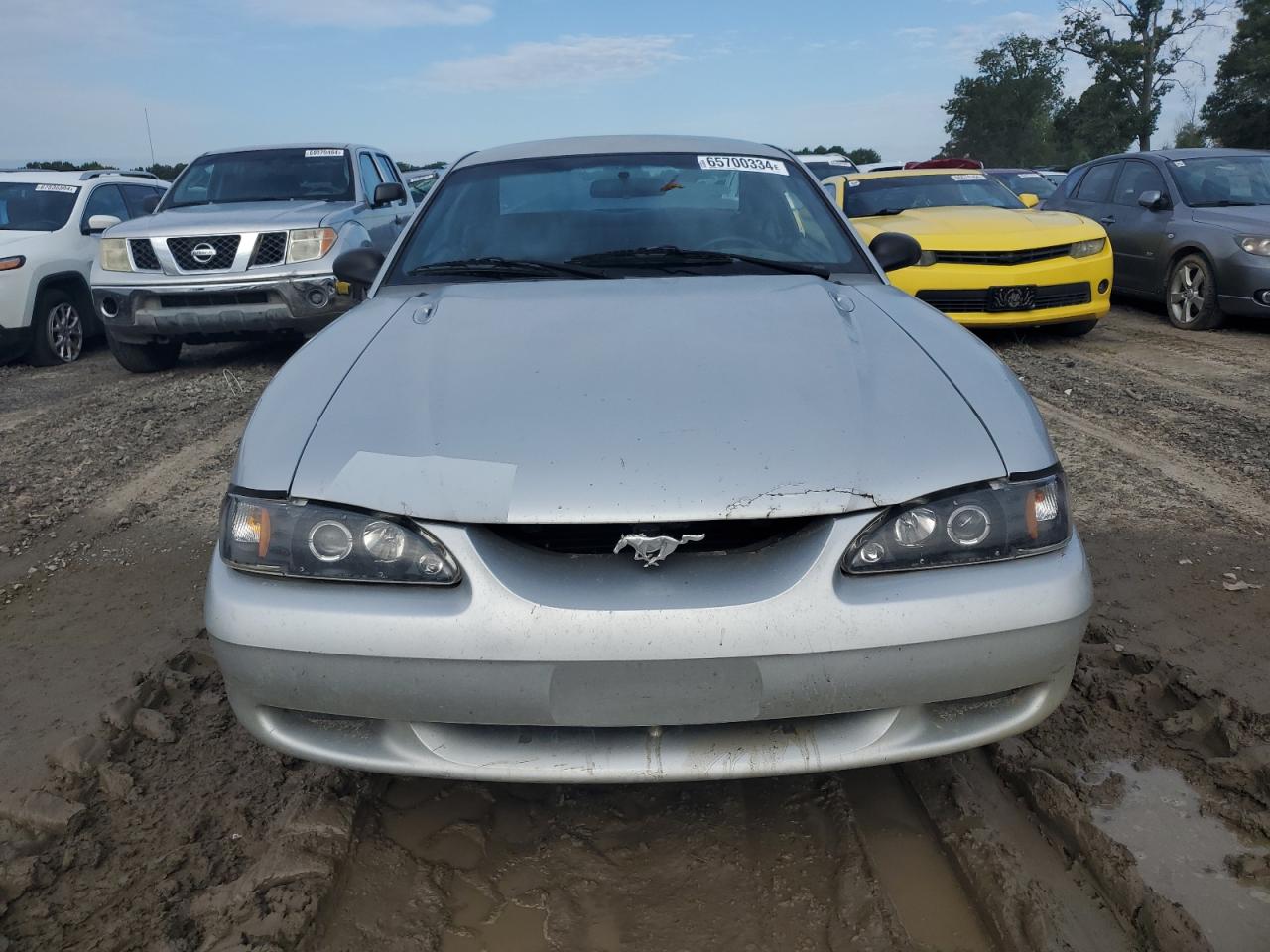 1998 Ford Mustang VIN: 1FAFP4043WF232278 Lot: 65700334