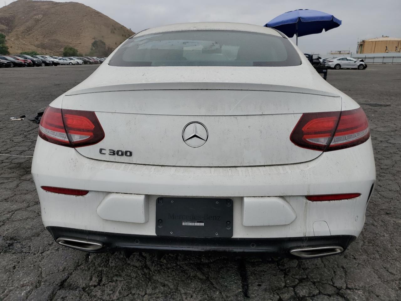 2023 Mercedes-Benz C 300 VIN: W1KWJ8DB7PG117132 Lot: 71801424