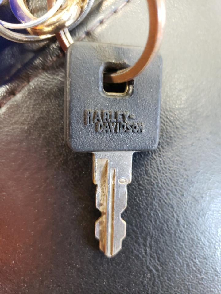 2010 Harley-Davidson Xl883 N VIN: 1HD4LE21XAC436235 Lot: 72814324