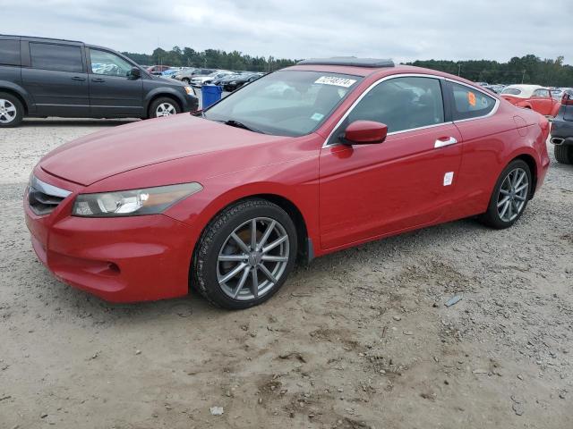 2011 Honda Accord Exl продається в Lumberton, NC - Water/Flood