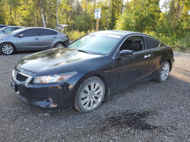 2009 Honda Accord Exl