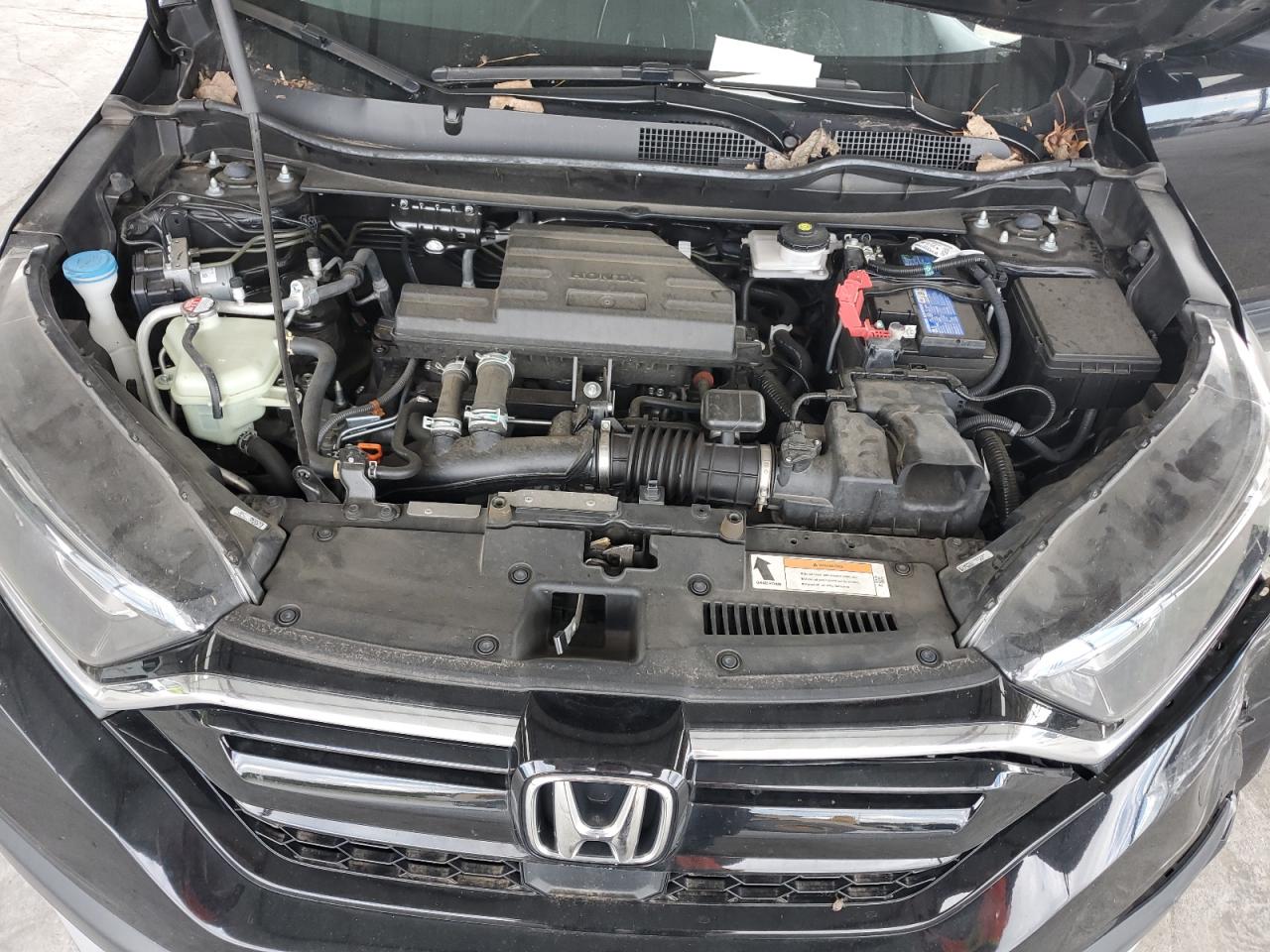 2021 Honda Cr-V Lx VIN: 5J6RW1H2XML007456 Lot: 73676964