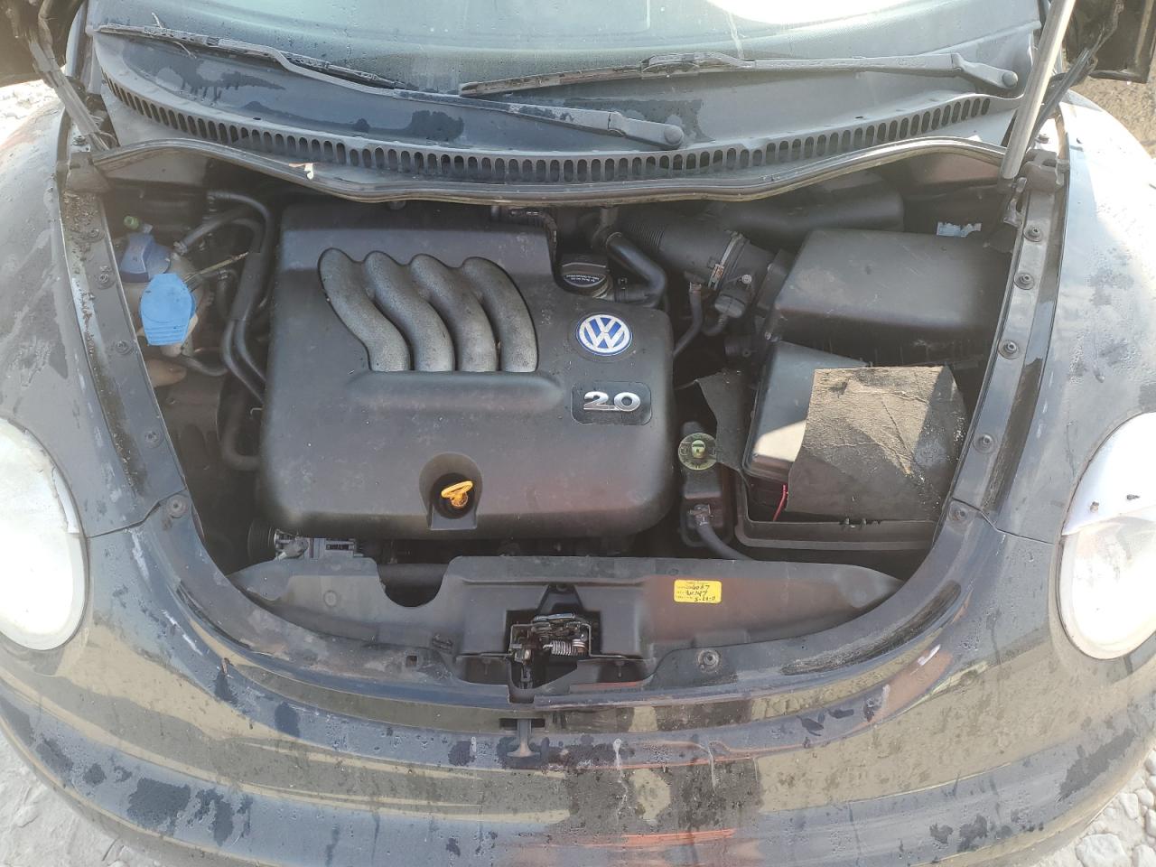 3VWCB21C32M424426 2002 Volkswagen New Beetle Gls