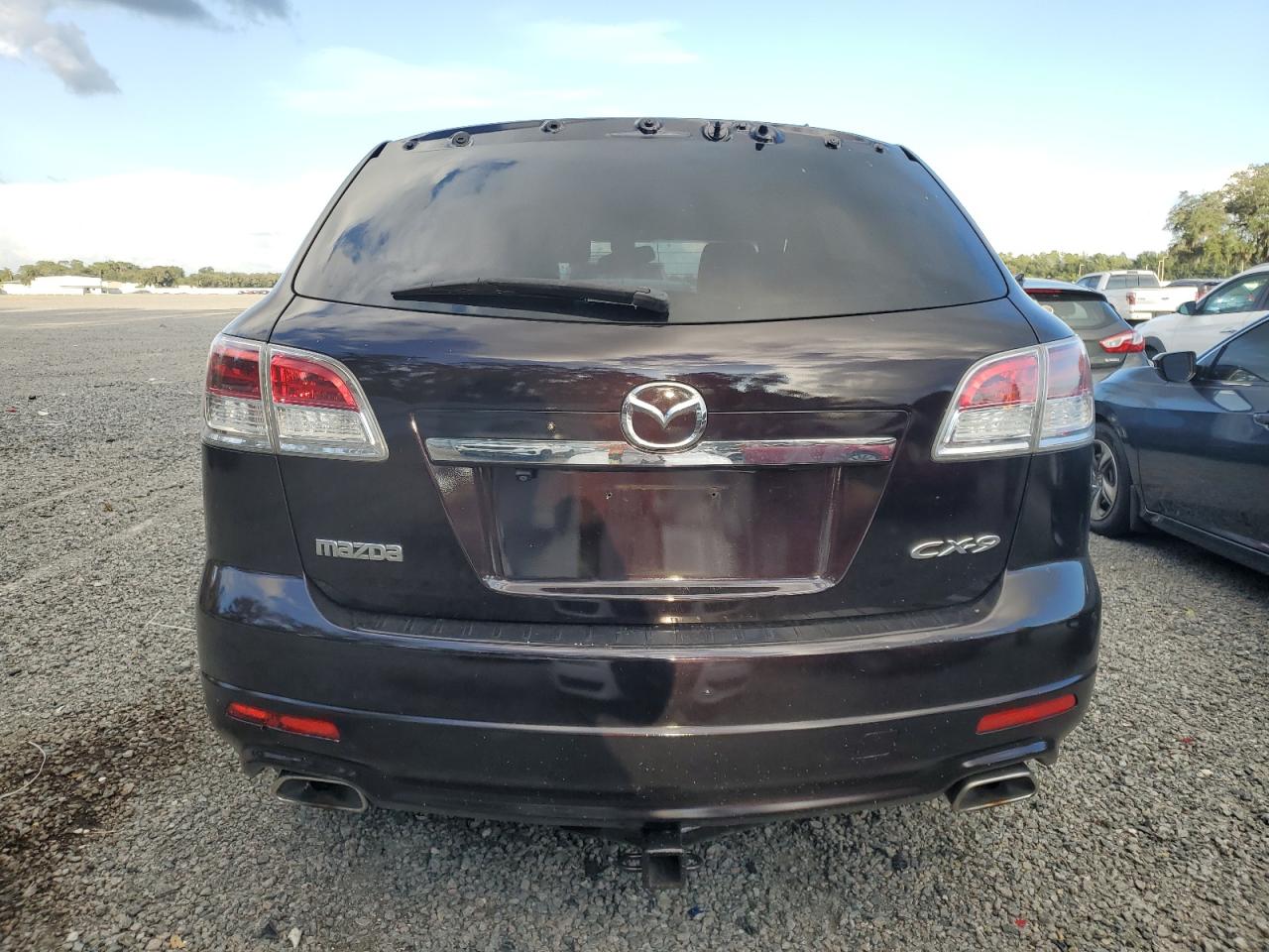 2009 Mazda Cx-9 VIN: JM3TB38A890165563 Lot: 73575714