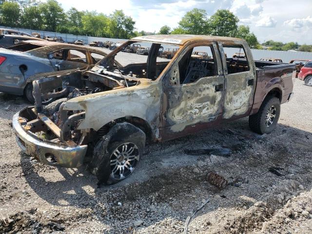 2010 Ford F150 Supercrew zu verkaufen in Lexington, KY - Burn