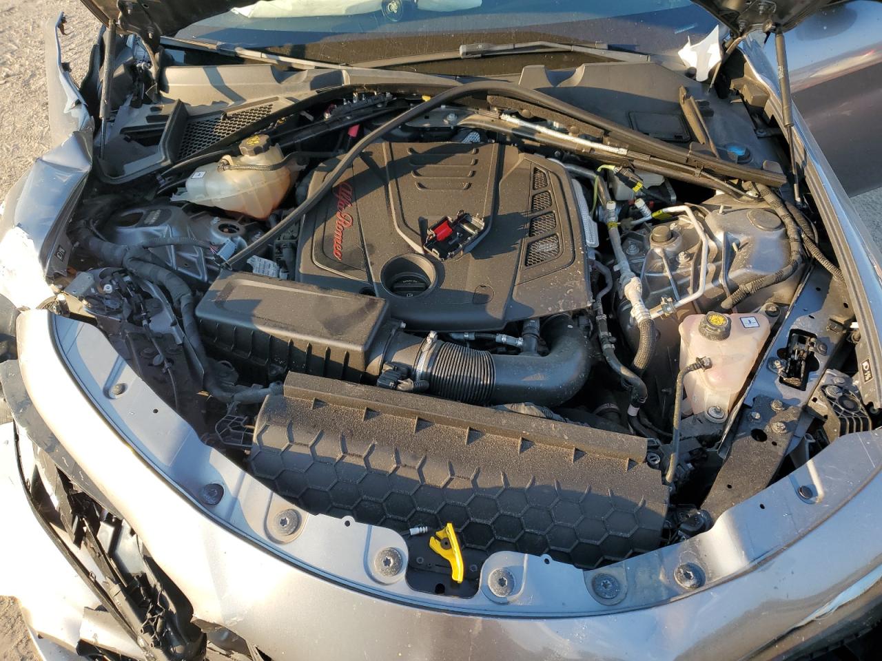 2020 Alfa Romeo Giulia VIN: ZARFAMAN7L7625067 Lot: 71016304